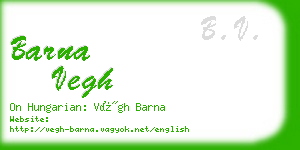 barna vegh business card